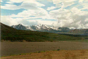 Denali National Park views