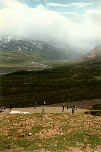 Eielson Visitors Center viewpoint