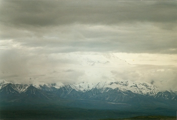 Denali mountain view