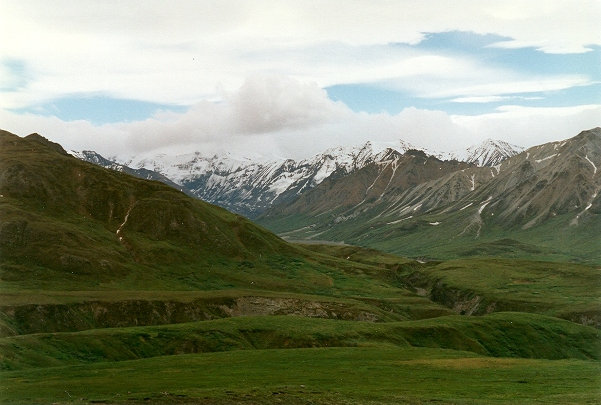 Denali National Park 