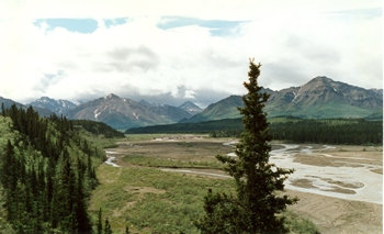 Denali National Park