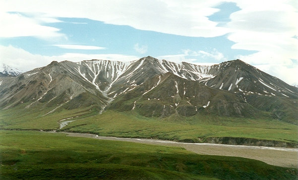 Denali National Park sights