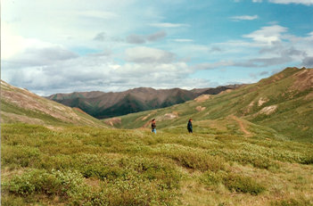 Eielson Visitors Center view