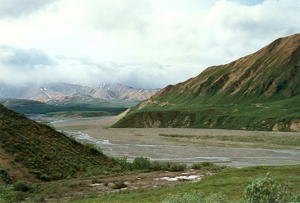 Denali National Park sights