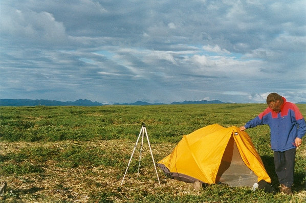 ridge above Kantishna