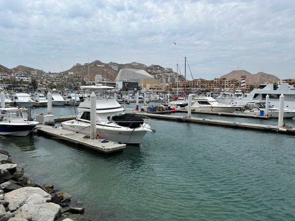 cabo marina