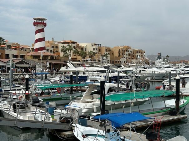 cabo marina