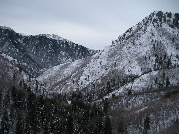 Church Fork Canyon