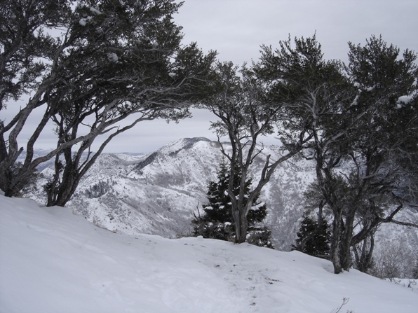 Church Fork Peak 