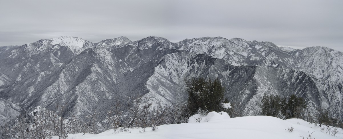 Mount Raymond, Thaynes Peaks, Wildcat Ridge, 