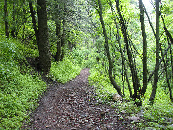 desolation trail