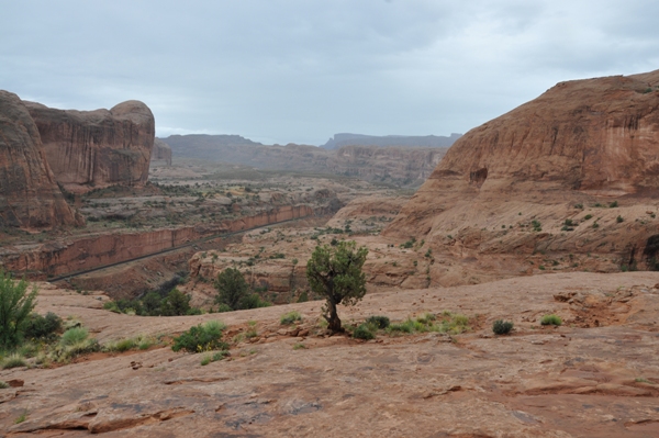 bootlegger canyon