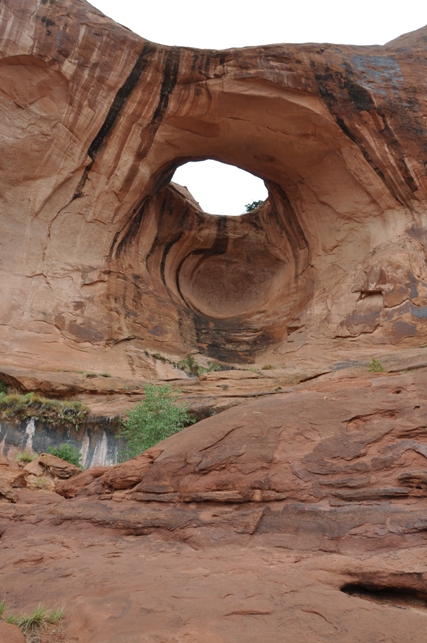 Bowtie Arch