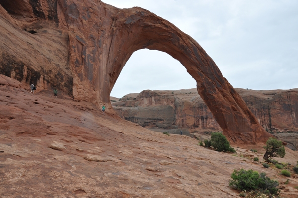 corona arch