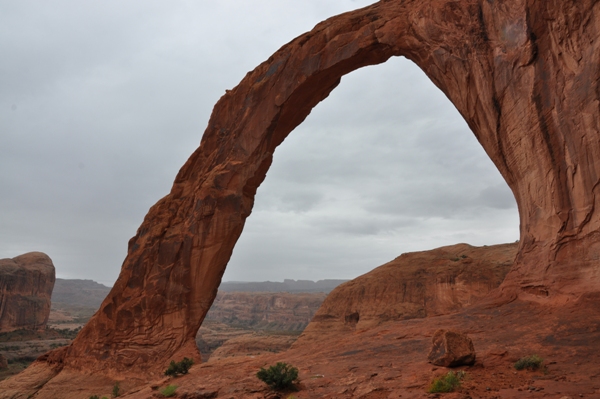 corona arch