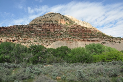 newspaper rock