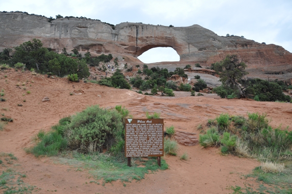 wilson arch