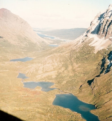 many glaciers