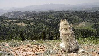 Red Spur Mountain