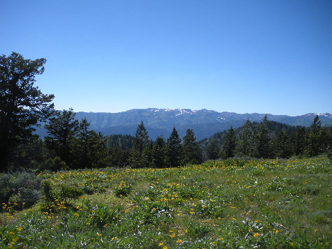 Jardine and Elmer peaks 