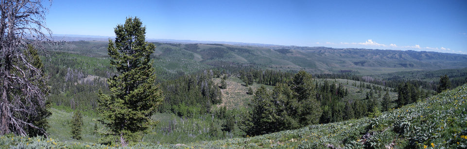View east over Utah