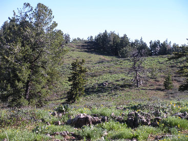 hike to the summit