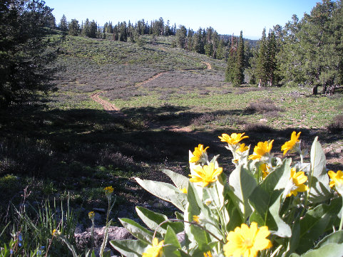 Temple Peak ATV road 