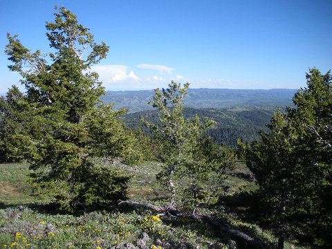 Uinta Mountains