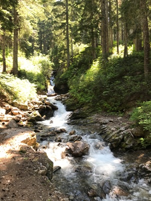 Pass Creek Trail