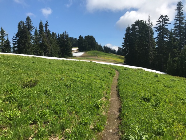 West Cady Ridge Trail