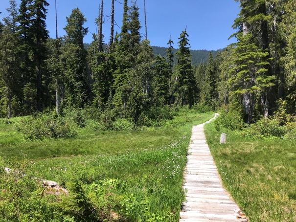 Pass Creek Trail