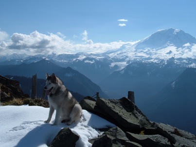 Mount Rainier