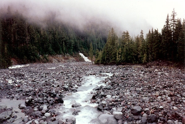 carbon river