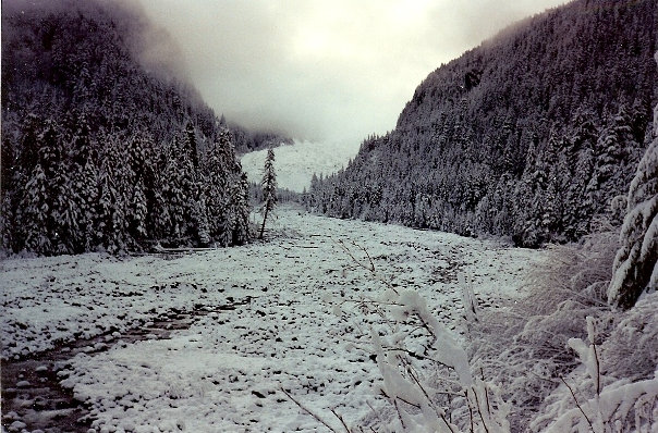 carbon river