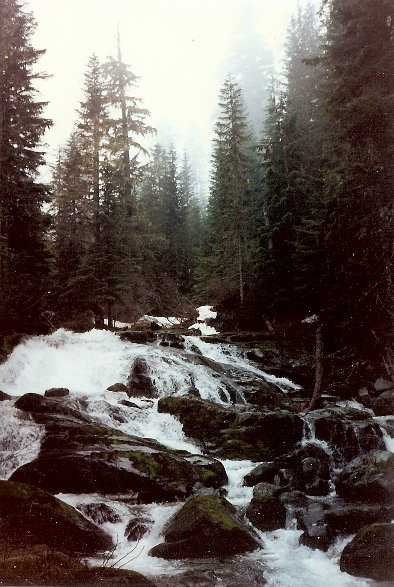 Cataract Creek 