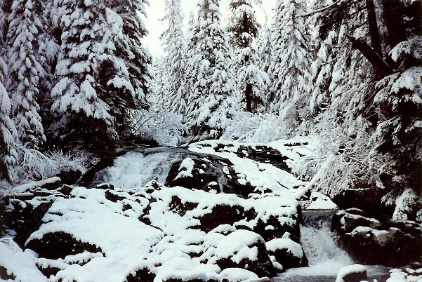 Cataract Creek 