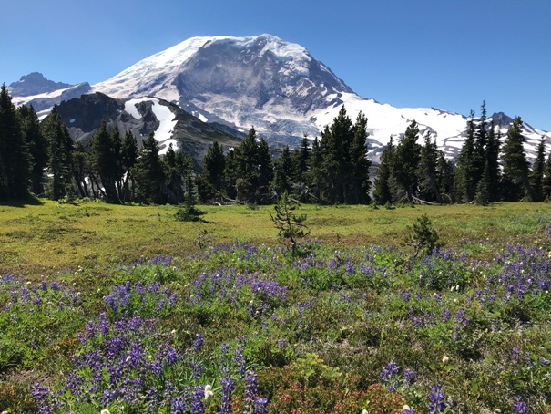 mount rainier