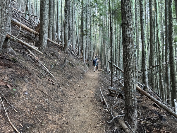 crystal peak trail