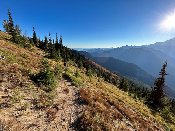 hiking mount rainier