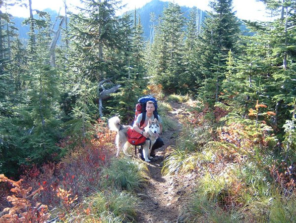 Glacier View Trail