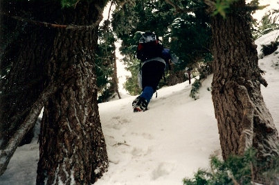 Climbing Arthur 