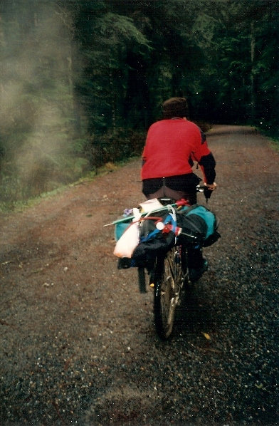 Carbon River Road 