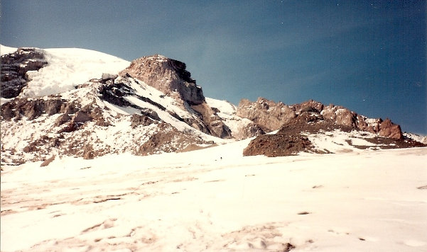 snowfield on rainier