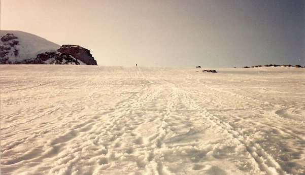 Muir Snowfield