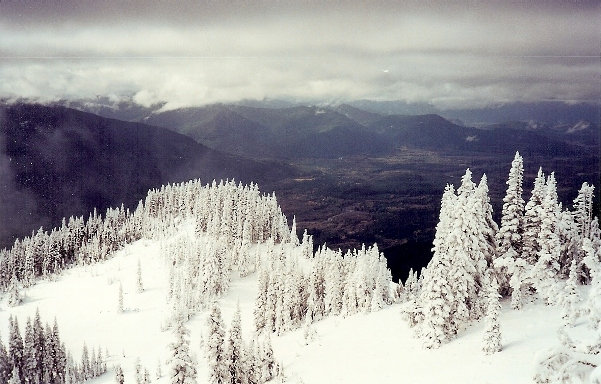 Nisqually Valley