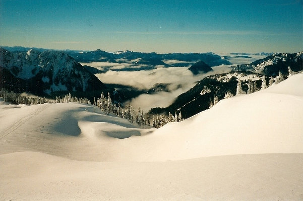 nisqually valley