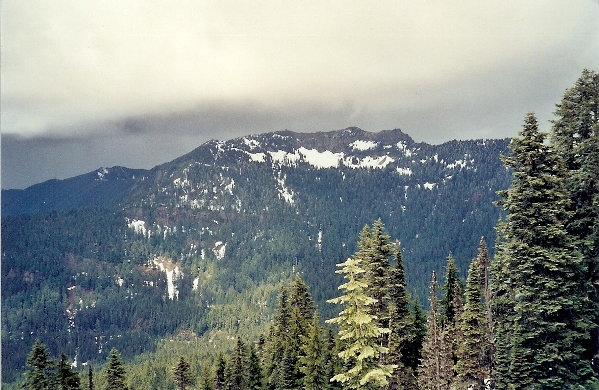 Tolmie Peak