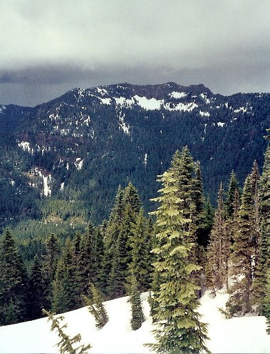 Tolmie Peak