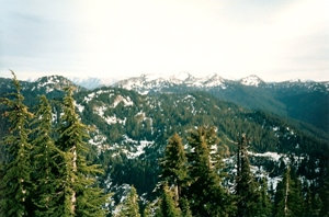 East from Shriner Peak