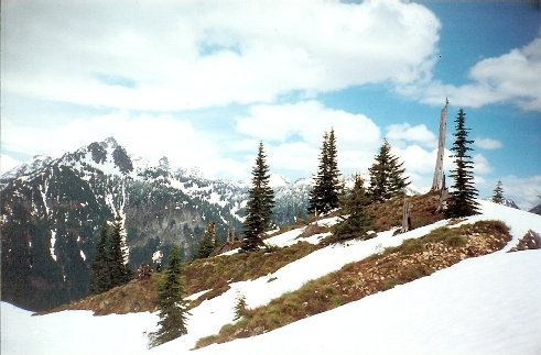 Shriner Peak 